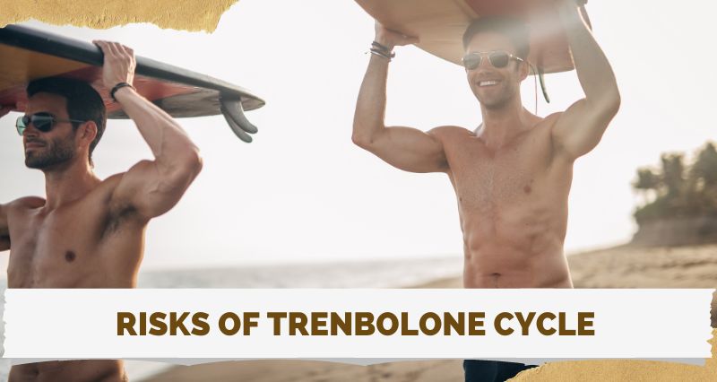 Risks of Trenbolone Cycle