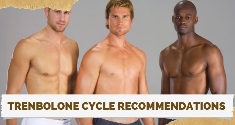 Trenbolone cycle recommendations