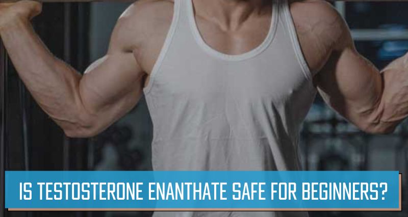 Is Testosterone Enanthate safe for beginners