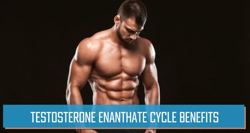 Testosterone Enanthate Cycle benefits