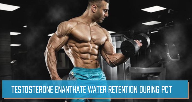 Testosterone Enanthate water retention during PCT