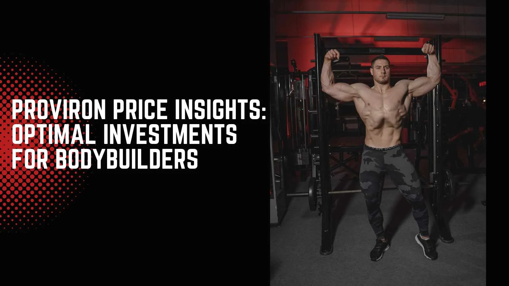 Proviron Price Insights: Optimal Investments for Bodybuilders